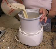 gelato tiramisu xz08 gelato tiramisu xz08